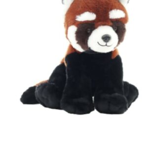 Red Panda