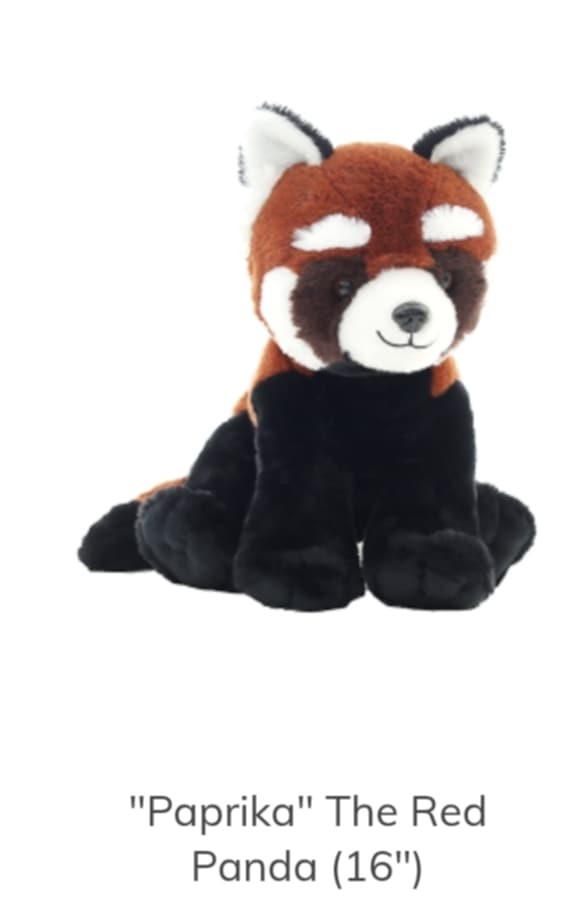 Red Panda