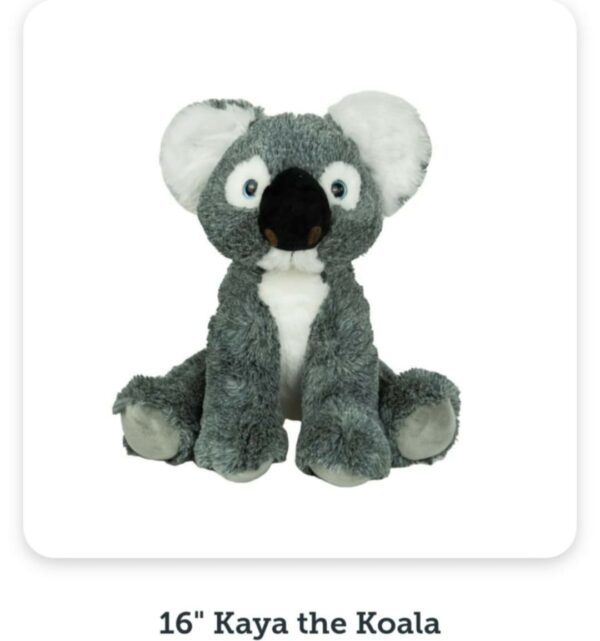 Kaya the Koala